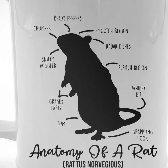 Anatomy Of Rat For Any Rat Lovers And Pet Rat Owners Front & Back Beer Stein