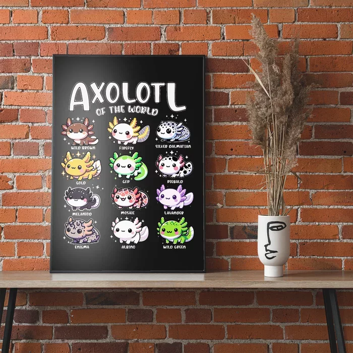 Axolotls Of The World Kawaii Types Of Axolotl Fish Amphibian Poster