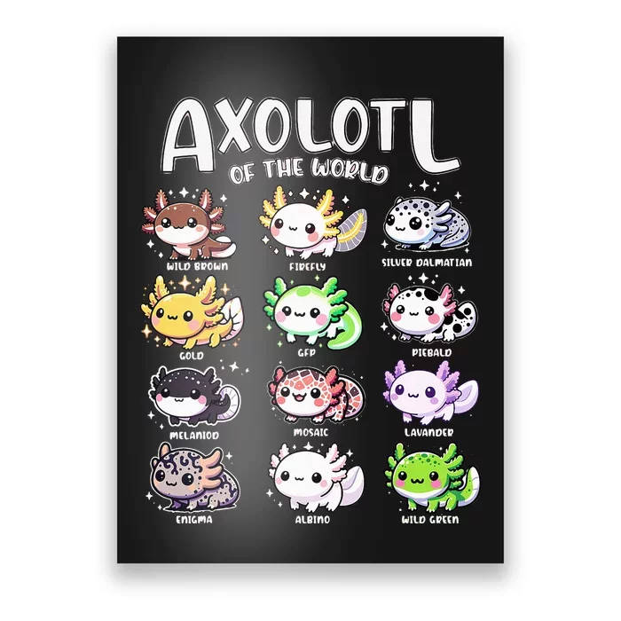 Axolotls Of The World Kawaii Types Of Axolotl Fish Amphibian Poster