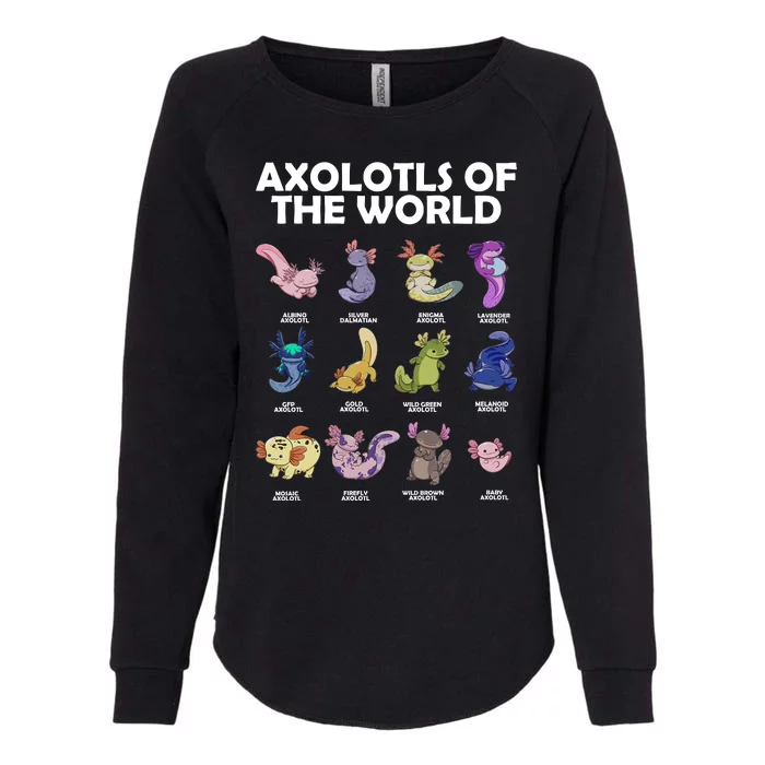 Axolotls Of The World Womens California Wash Sweatshirt