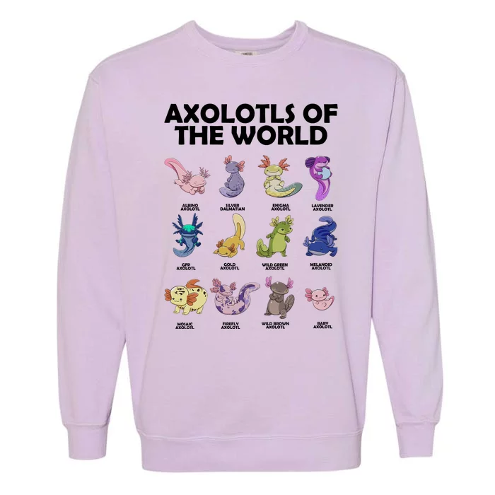 Axolotls Of The World Garment-Dyed Sweatshirt