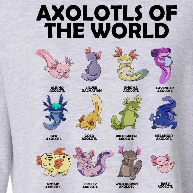 Axolotls Of The World Cropped Pullover Crew