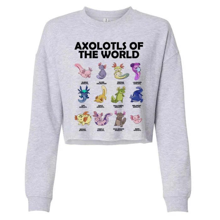 Axolotls Of The World Cropped Pullover Crew