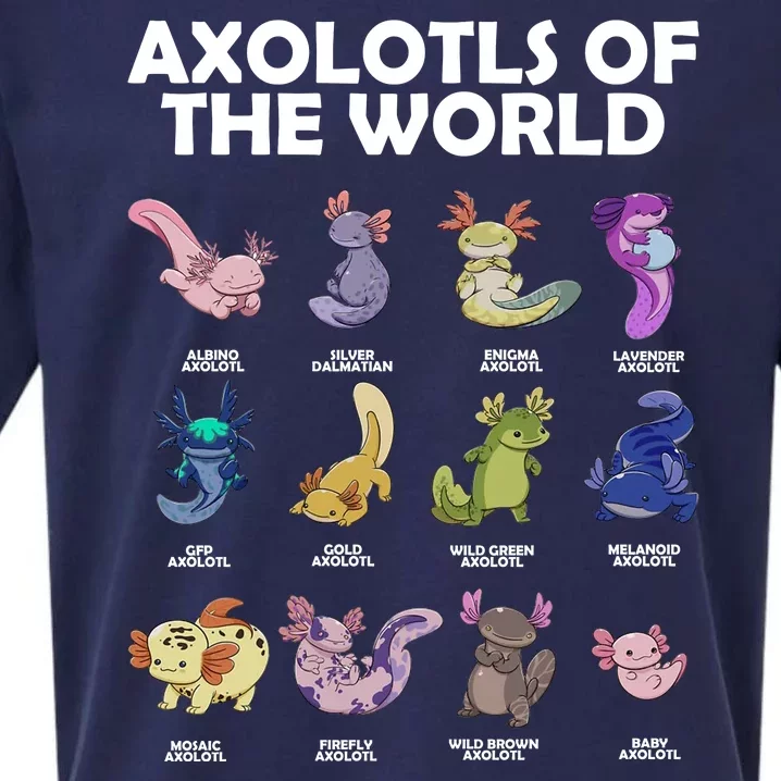 Axolotls Of The World Sueded Cloud Jersey T-Shirt