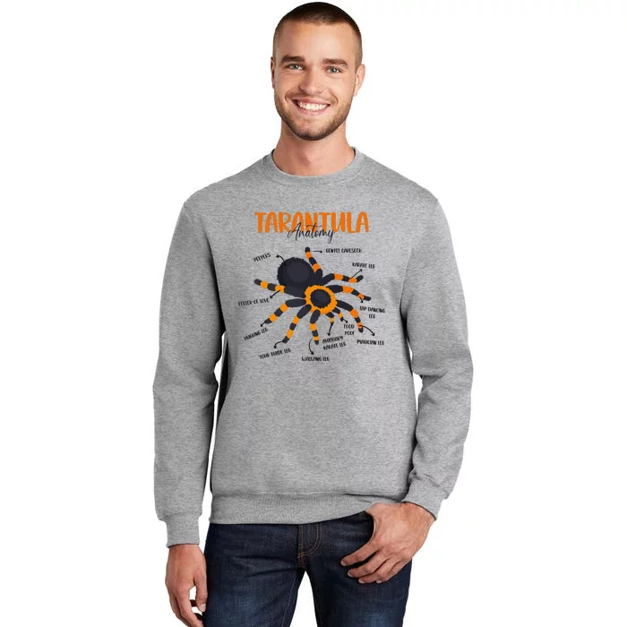 Anatomy Of Tarantula Spider Arthropod Arachnid Arachnophile Tall Sweatshirt