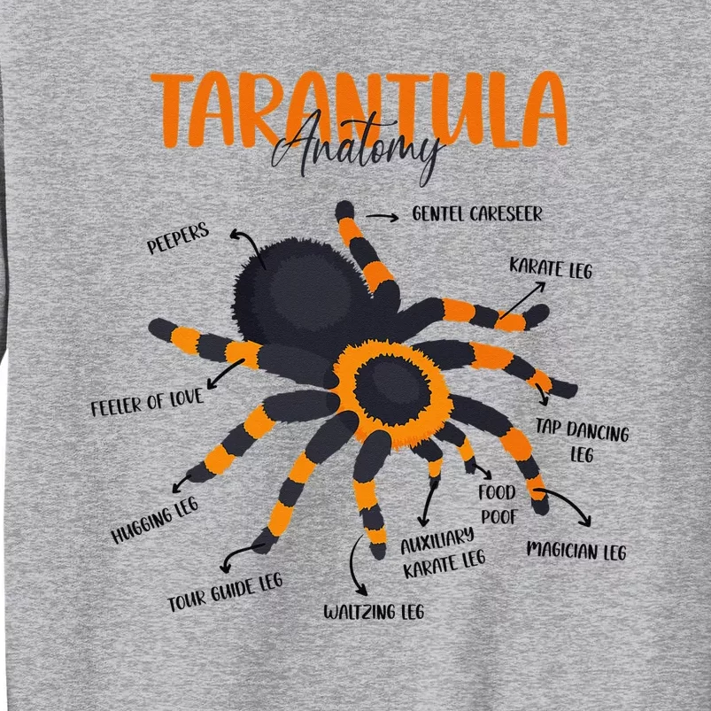 Anatomy Of Tarantula Spider Arthropod Arachnid Arachnophile Tall Sweatshirt