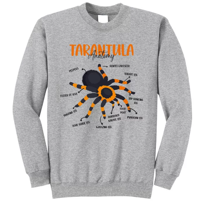 Anatomy Of Tarantula Spider Arthropod Arachnid Arachnophile Tall Sweatshirt