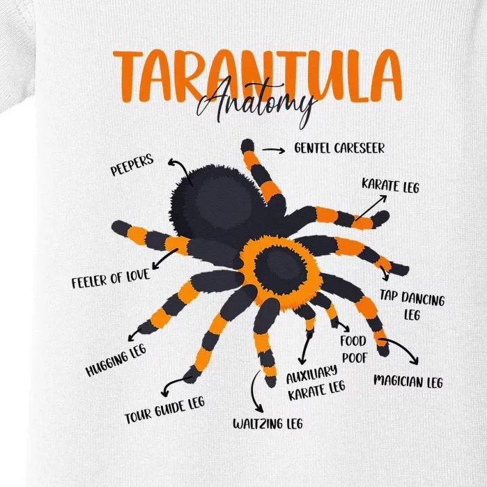 Anatomy Of Tarantula Spider Arthropod Arachnid Arachnophile Baby Bodysuit