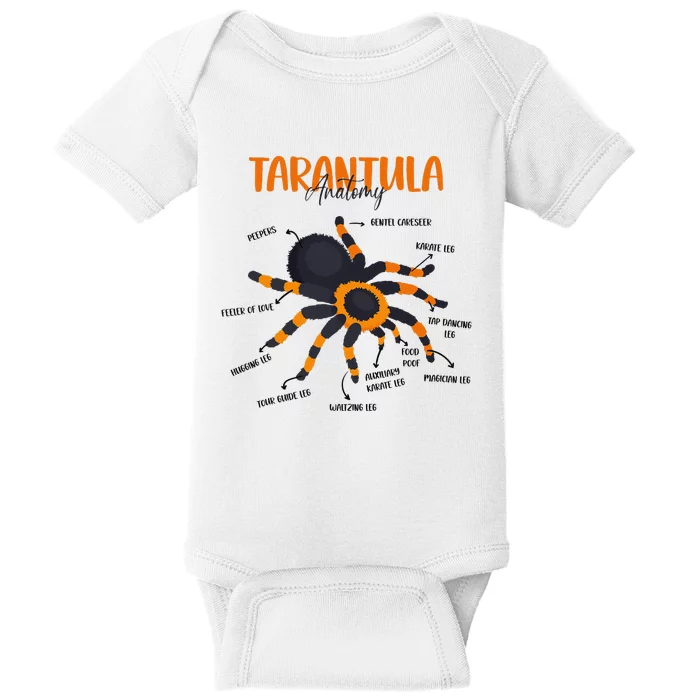 Anatomy Of Tarantula Spider Arthropod Arachnid Arachnophile Baby Bodysuit