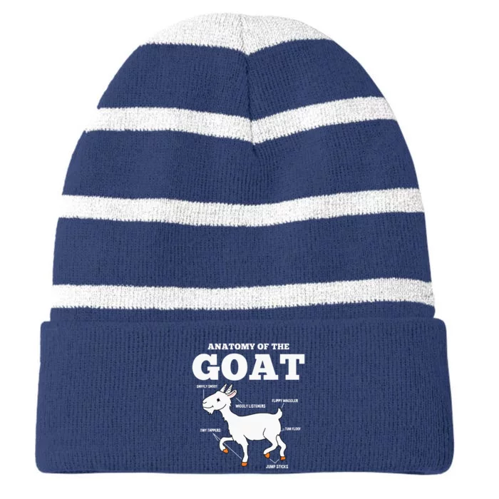 Anatomy Of The Goat Striped Beanie with Solid Band