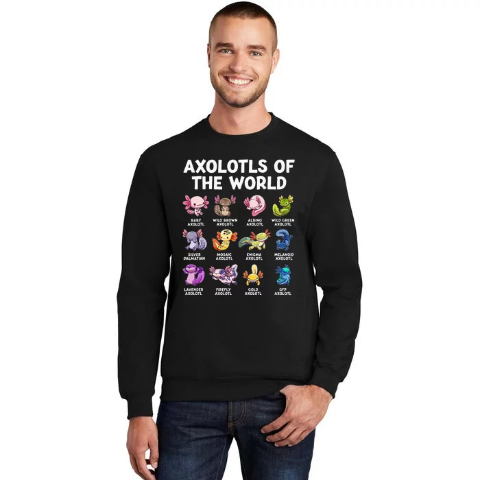 Axolotls Of The World Kawaii Types Of Axolotl Fish Sweatshirt