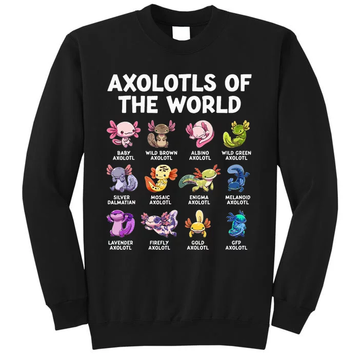 Axolotls Of The World Kawaii Types Of Axolotl Fish Sweatshirt