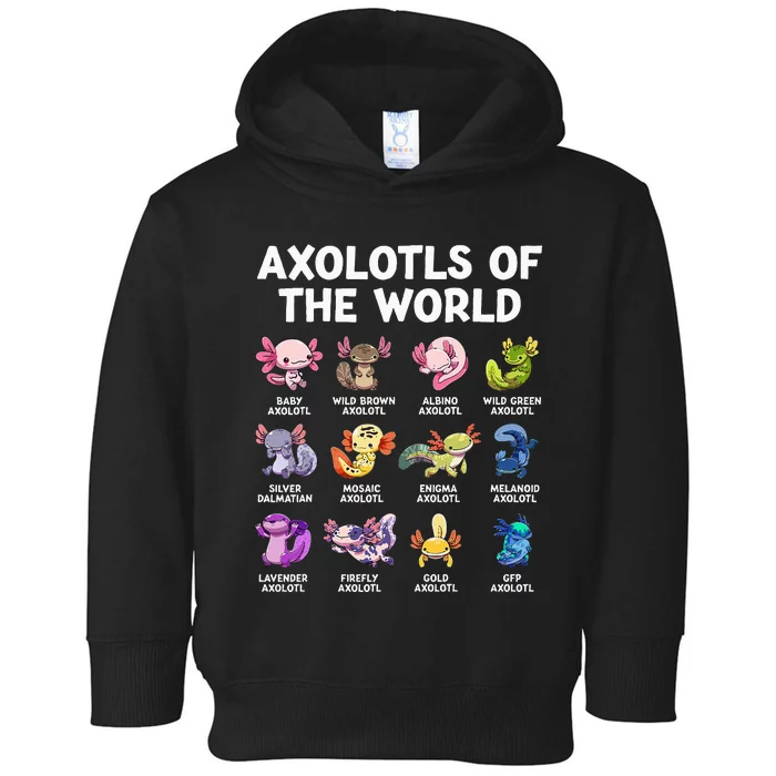 Axolotls Of The World Kawaii Types Of Axolotl Fish Amphibian Toddler Hoodie