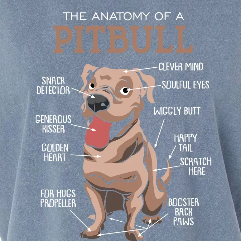 Anatomy Of The Pitbull Gift Pit Bull Bulldogs And Terriers Garment-Dyed Women's Muscle Tee