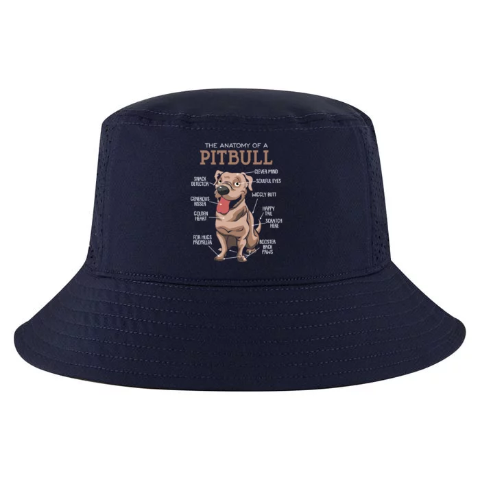 Anatomy Of The Pitbull Gift Pit Bull Bulldogs And Terriers Cool Comfort Performance Bucket Hat