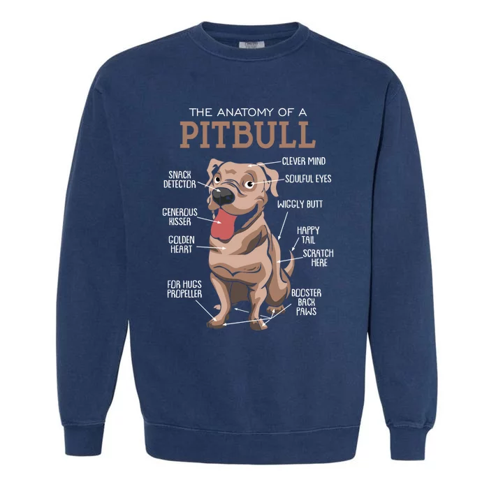 Anatomy Of The Pitbull Gift Pit Bull Bulldogs And Terriers Garment-Dyed Sweatshirt