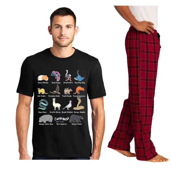 Animals Of The World Rare Exotic Animals Funny Memes Gift Pajama Set