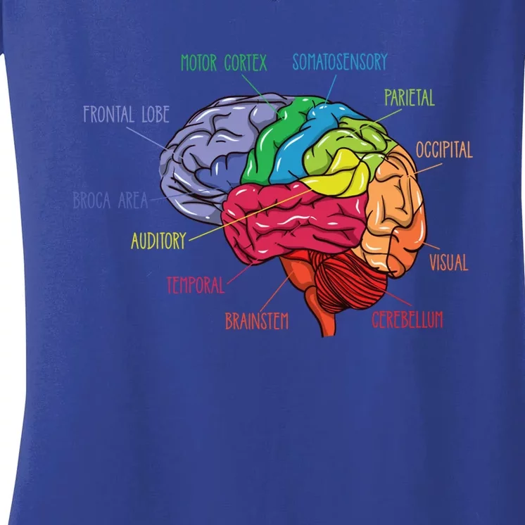 Anatomy Of The Brain Neurologist Gift Women's V-Neck T-Shirt