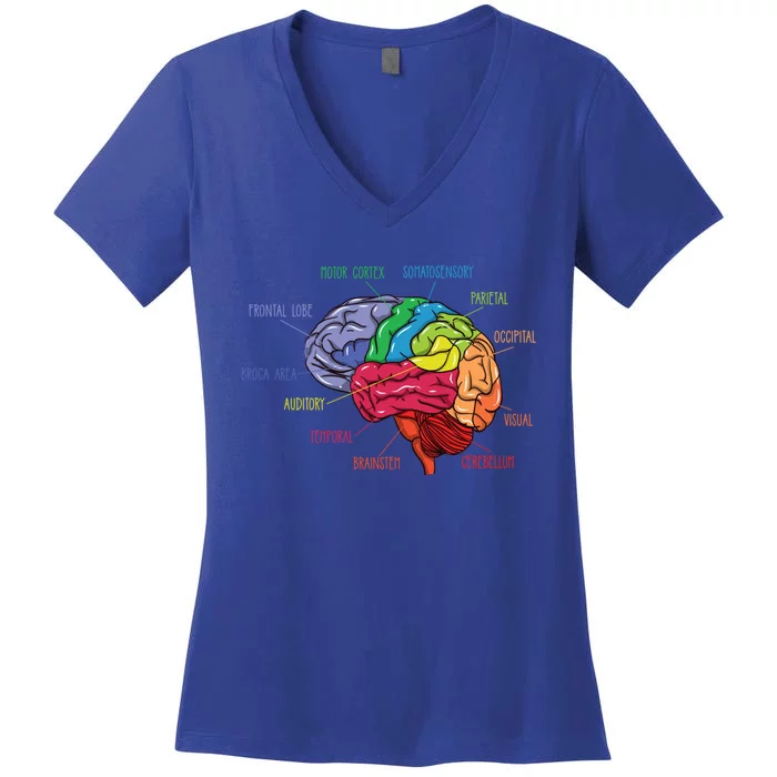 Anatomy Of The Brain Neurologist Gift Women's V-Neck T-Shirt