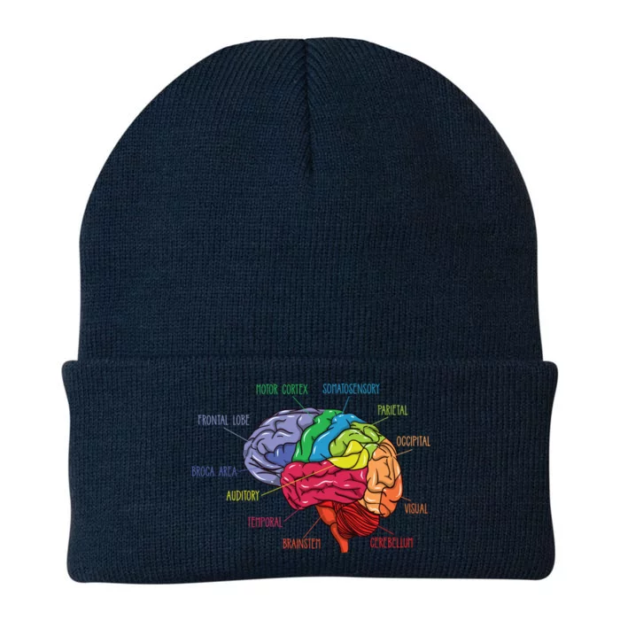 Anatomy Of The Brain Neurologist Gift Knit Cap Winter Beanie