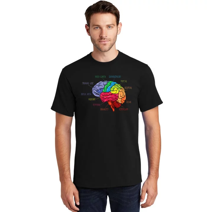 Anatomy Of The Brain Neurologist Gift Tall T-Shirt