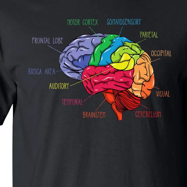 Anatomy Of The Brain Neurologist Gift Tall T-Shirt