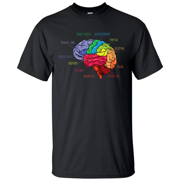 Anatomy Of The Brain Neurologist Gift Tall T-Shirt