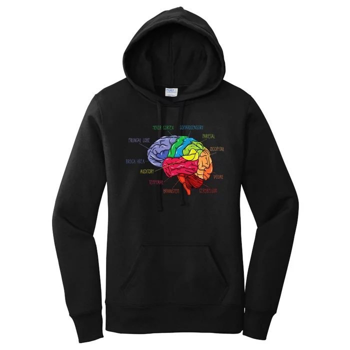 Anatomy Of The Brain Neurologist Gift Women's Pullover Hoodie