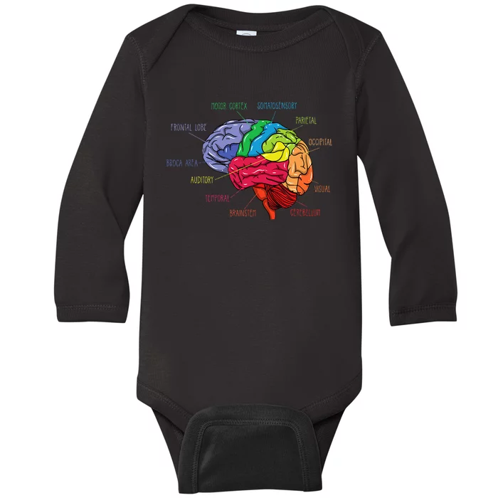 Anatomy Of The Brain Neurologist Gift Baby Long Sleeve Bodysuit