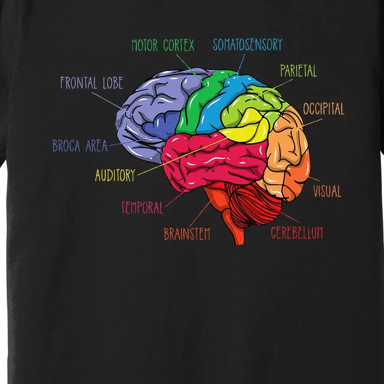 Anatomy Of The Brain Neurologist Gift Premium T-Shirt