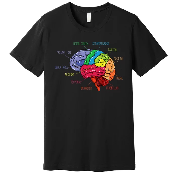 Anatomy Of The Brain Neurologist Gift Premium T-Shirt