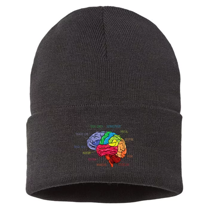 Anatomy Of The Brain Neurologist Gift Sustainable Knit Beanie