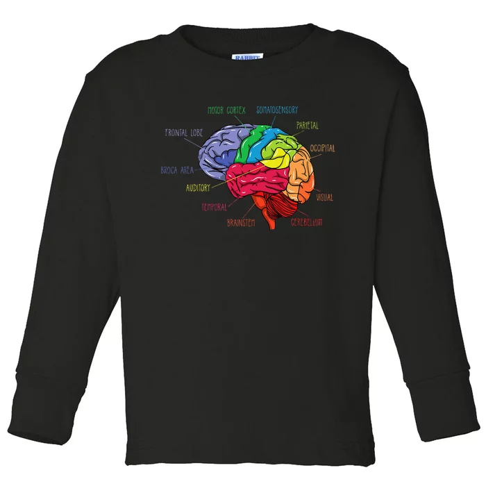 Anatomy Of The Brain Neurologist Gift Toddler Long Sleeve Shirt