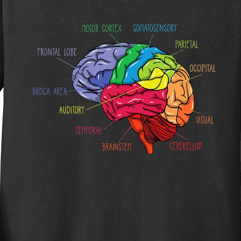 Anatomy Of The Brain Neurologist Gift Kids Long Sleeve Shirt