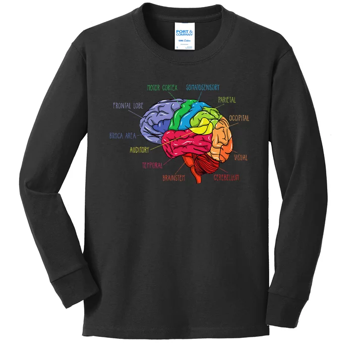 Anatomy Of The Brain Neurologist Gift Kids Long Sleeve Shirt