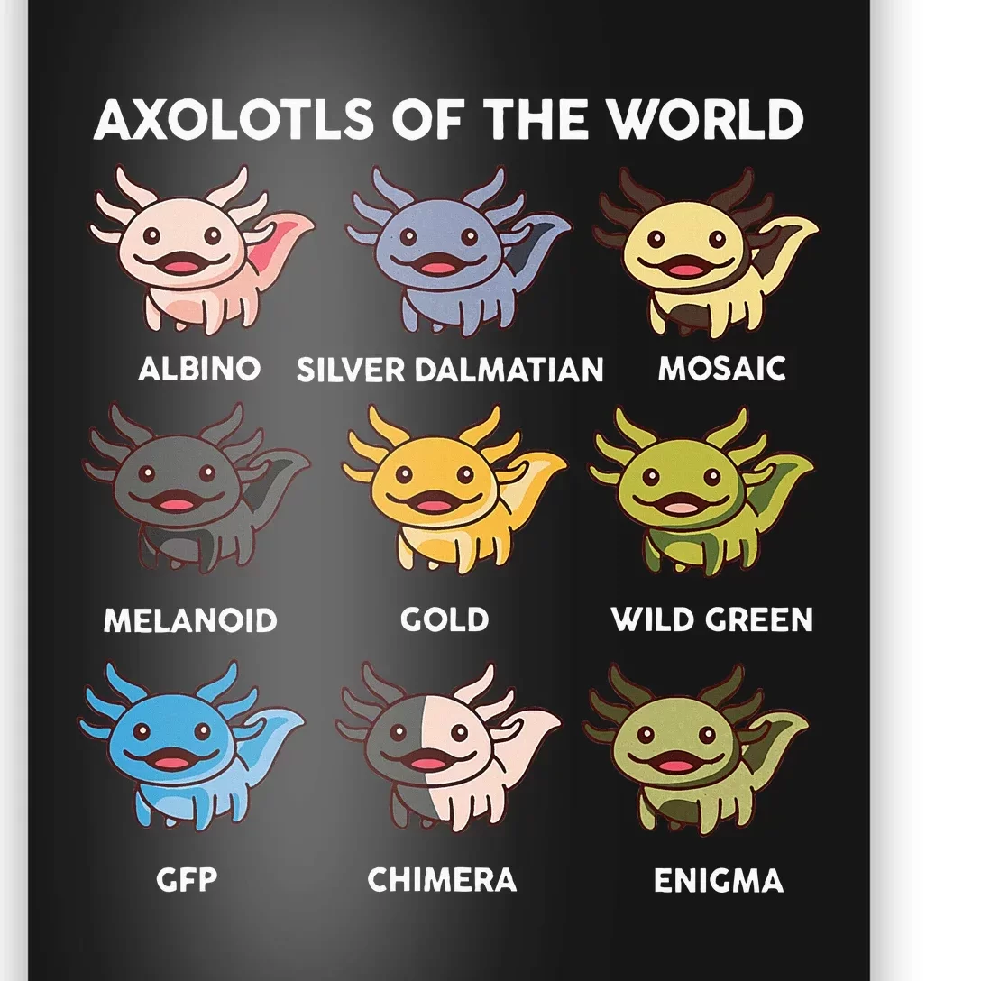 Axolotl Of World Poster