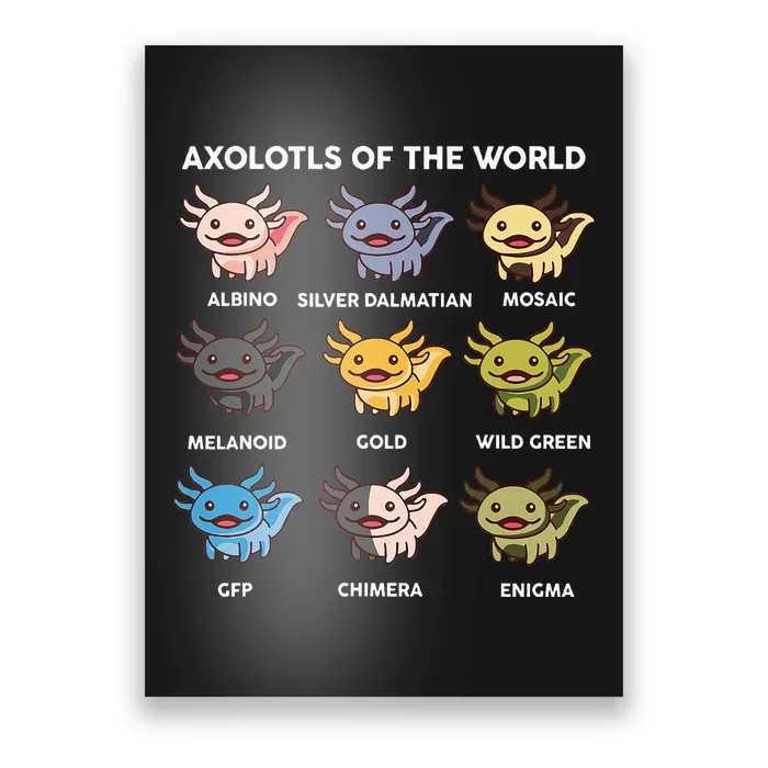 Axolotl Of World Poster