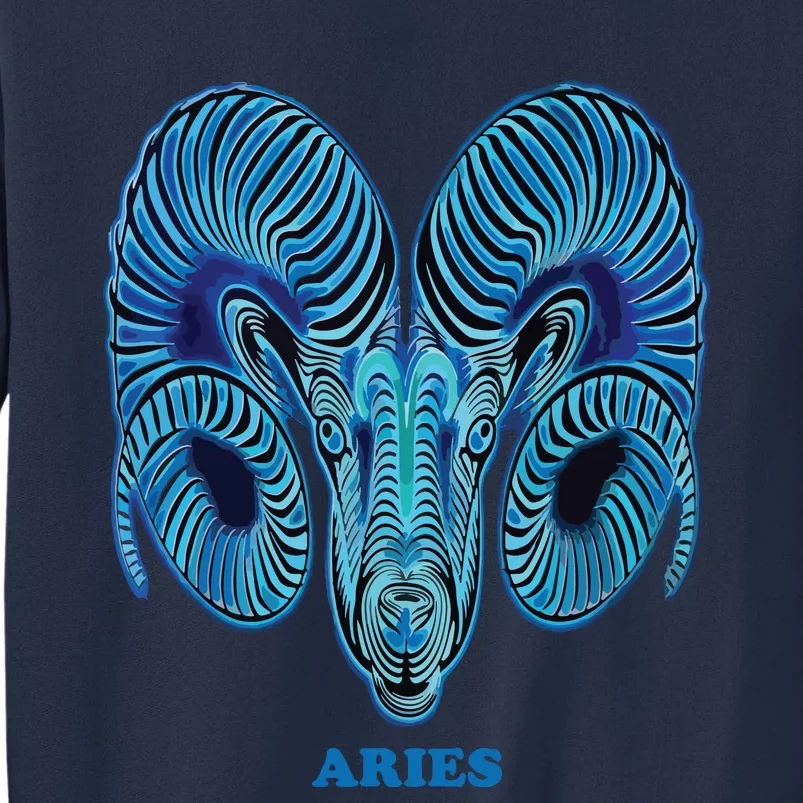 Aries Personality Astrology Zodiac Sign Horoscope Design Sweatshirt