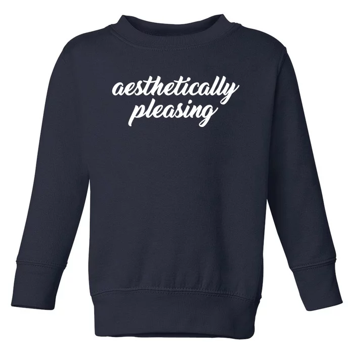 Aesthetically Pleasing Toddler Sweatshirt