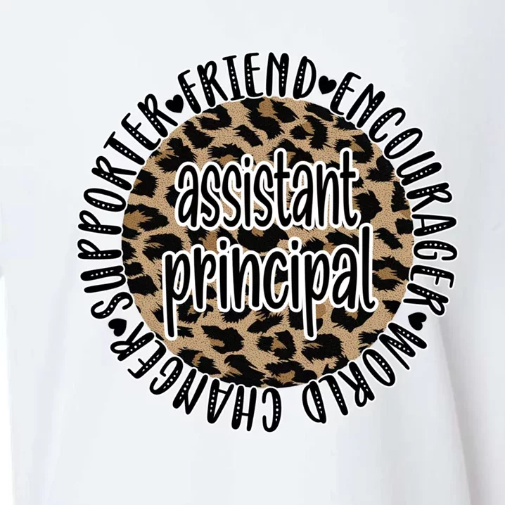 Assistant Principal Appreciation Best Assistant Principal Funny Gift Sueded Cloud Jersey T-Shirt