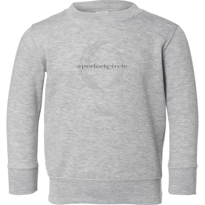 A Perfect Circle – Feathers Toddler Sweatshirt