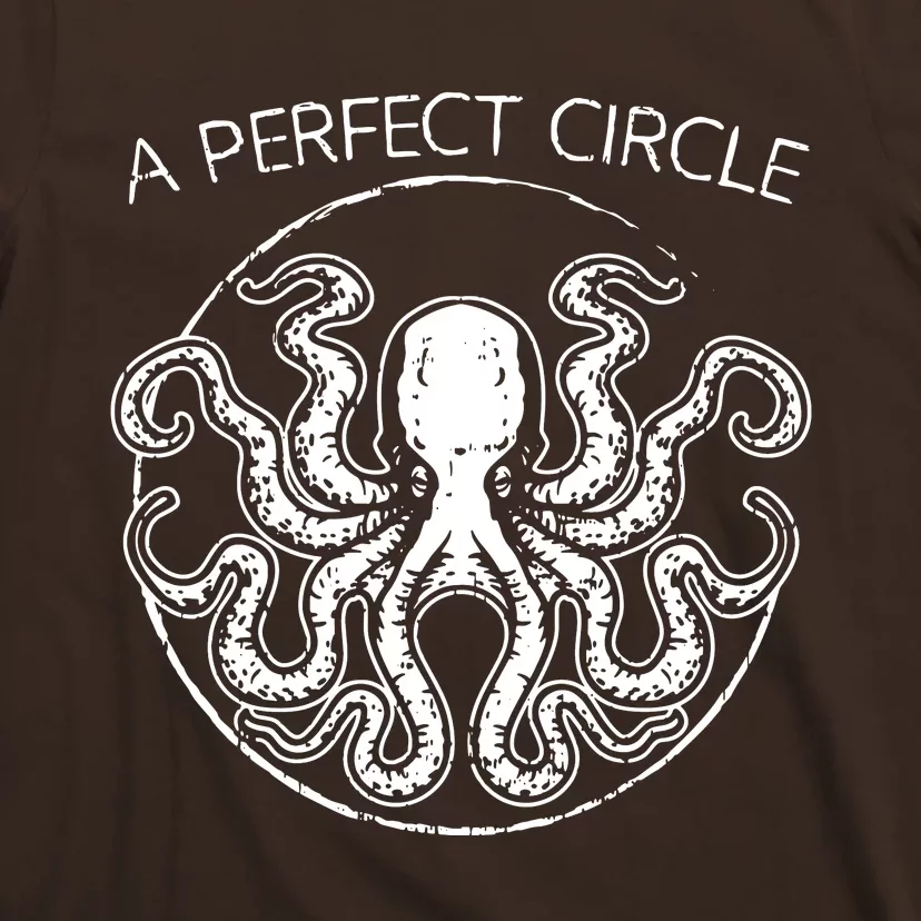 A Perfect Circle Octopus Pi Day T-Shirt