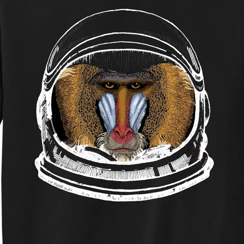 Ape Astronaut Tall Sweatshirt