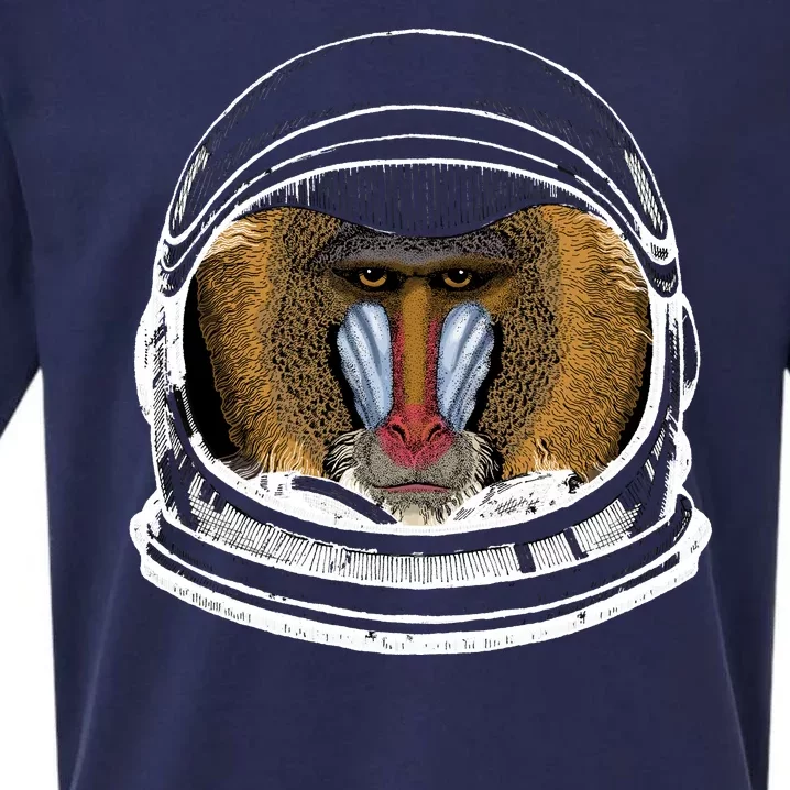 Ape Astronaut Sueded Cloud Jersey T-Shirt