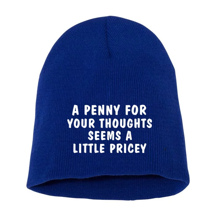 A Penny For Your Thoughts Funny Sarcastic Joke Short Acrylic Beanie