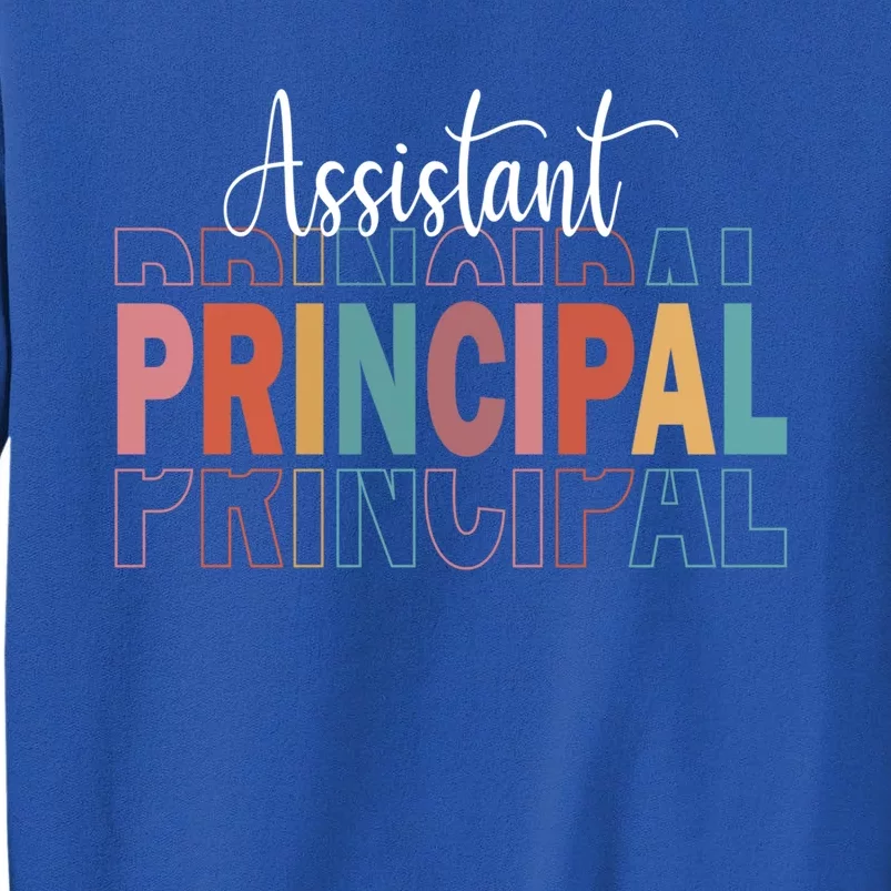 Assistant Principal Funny Job Title School Worker Gift Tall Sweatshirt