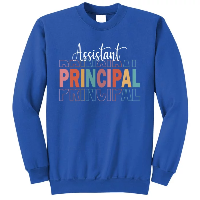 Assistant Principal Funny Job Title School Worker Gift Tall Sweatshirt