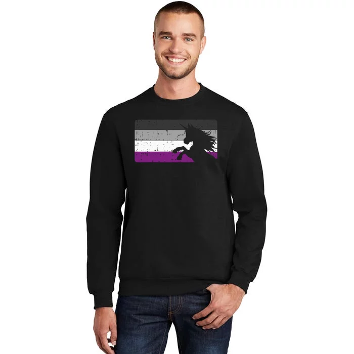 Asexual Pride Flag Unicorn Majestic Animal Ace Lgbtq Tall Sweatshirt