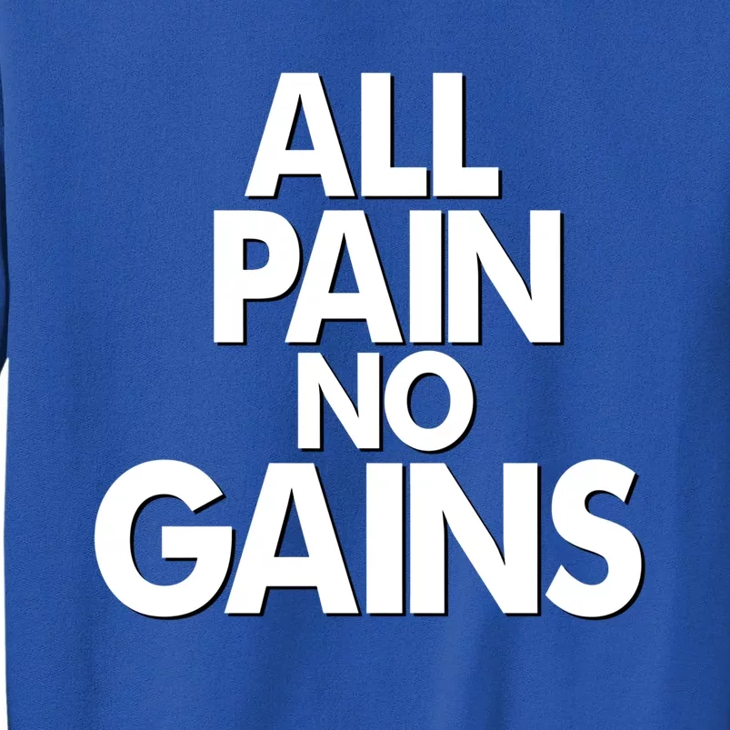 All Pain No Gains Funny Gym Motivational Jim Bodybuilding Gift Sweatshirt