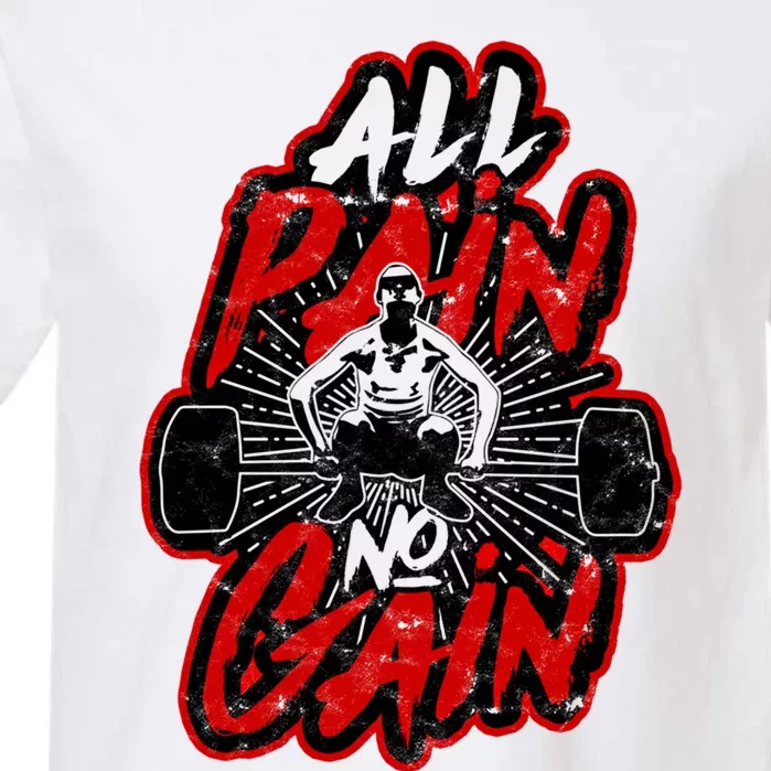 All Pain No Gain Gift Gym Workout Weight And Barbell Funny Gift Garment-Dyed Heavyweight T-Shirt